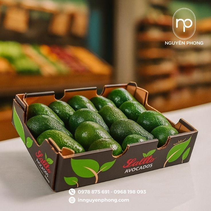 Cấu trúc thùng carton 5 lớp chắc chắn